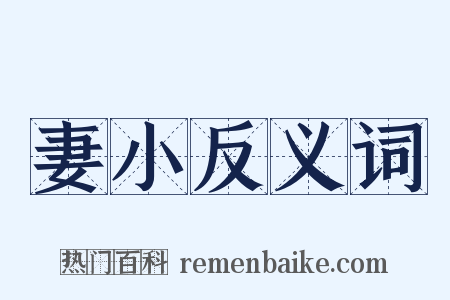 妻小反义词是什么意思的图片